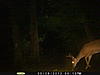 First Bucks of the Year-pict0019.jpg