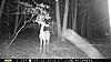 trail cam pics-pict0010.jpg