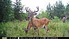 Pictures of a few Florida bucks...-pict0544.jpg