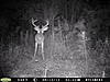 Pictures of a few Florida bucks...-285.jpg