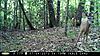South Alabama Deer still growing...-screen-shot-2012-08-18-7.51.16-am.jpg