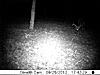 age this deer-trail-cam-9-29-422.jpg