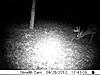 age this deer-trail-cam-9-29-425.jpg