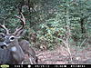 Too bad the season wasnt open-rayburn-10-4-12-123.jpg