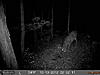 2012 Trail Camera Photos-deer-cam-2-039.jpg