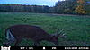 Before and after-1st-week-oct-bushnell-090.jpg