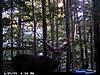 score/age this PA buck-cdy_0043.jpg