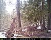 2013 Trail cam pics-get-away.jpg