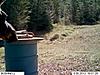 2013 Trail cam pics-moose-face.jpg