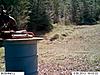 2013 Trail cam pics-moose-face2.jpg