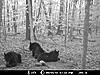 May's Bear Pictures-mdgc0027.jpg