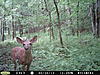 2 bucks-pict0009.jpg