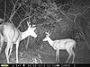 June Pennsylvania Bucks-j304.jpg