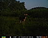 Delaware Trail Camera-prms0017.jpg