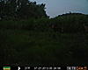 Delaware Trail Camera-prms0051.jpg