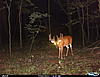 Ohio 10 Point Guess a score-cdy00111.jpg