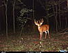 Ohio 10 Point Guess a score-cdy00114.jpg