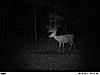 Ohio 10 Point Guess a score-pict0279.jpg