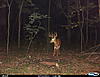 Newest pics of Ohio 10 point 8/13/13-cdy00033.jpg