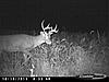 Northeast Ohio Buck Pics-cdy_0021.jpg