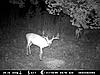 va bucks-098-1-.jpg