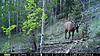 More from Colorado-pict0086.jpg