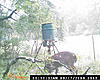 is this the same buck?-game-cam-140.jpg