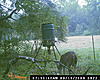 is this the same buck?-game-cam-147.jpg