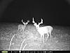 Buck Pictures-aug.-2014-98-.jpg