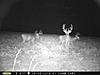 Buck Pictures-aug.-2014-123-.jpg