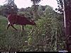 It's twins-cdy_0012.jpg