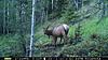 4 weeks until muzzleloader-pict0036.jpg
