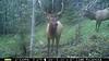 4 weeks until muzzleloader-pict0050.jpg