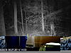 ltl acorn problem-image0.jpg