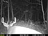 Got a nice 8 pt to wander by.  Thoughts on score?-mfdc0416.jpg