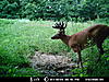 Lots of points-mdgc0432.jpg