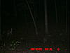 trail Cam pic 09-icam0012.jpg