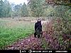 A few pics from the Moultrie 4.0-deer-1-011.jpg