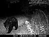 A few pics from the Moultrie 4.0-deer-1-015.jpg