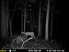 My Trail Cam Pics-mfdc8039.jpg