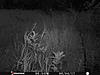 Saskatchewan Trail Cam Pics - summer 2017-stc_0049.jpg