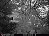 New trail cam and picture.-40fb1a3c-d710-4212-ae73-49310f677657.jpeg