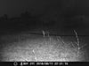New trail cam and picture.-thumbnail_imag0019.jpg