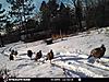 New trail cam and picture.-c729428a-3e60-44b9-87ba-b4ac6f8c2069.jpeg