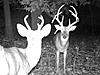 Twin Towers-mdgc0199.jpg