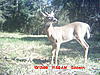Some picures from Eastern NC-picture-273.jpg