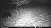 Game Camera suggestions-c1831914-259f-42d9-bd71-d9338680c40e.jpeg