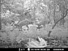  2009 Hunting Net Trail camera pictures-double-8s.jpg