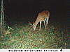 Shooters or Not?-sunp0069.jpg