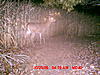 Question?? Big Boy Is Back-17e.jpg